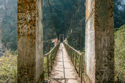 Wooden footbridge amidst trees in forest