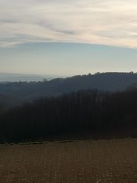 Bird flying over landscape against sky