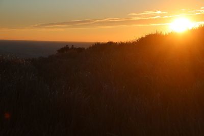 Scenic view of sea at sunset