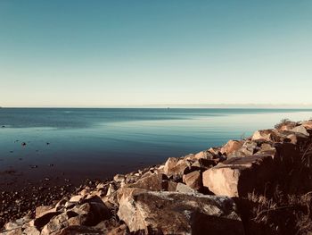 Scenic view of sea against clear sky