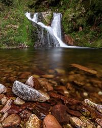 Scenic view of waterfall in forest