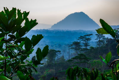 Scenic view of sea by mountains against sky