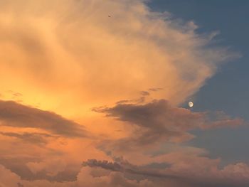 Low angle view of silhouette birds flying against dramatic sky