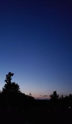 Silhouette trees against clear sky at sunset