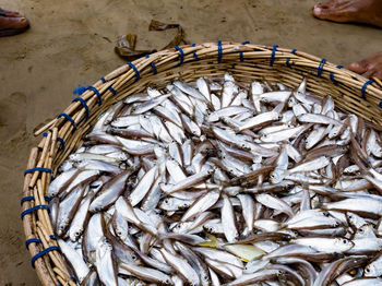 High angle view of fish for sale in market