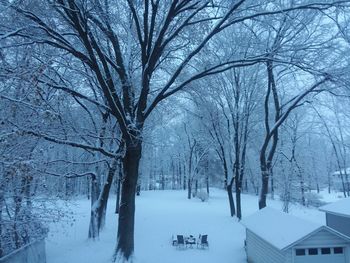 Bare trees on snow covered landscape