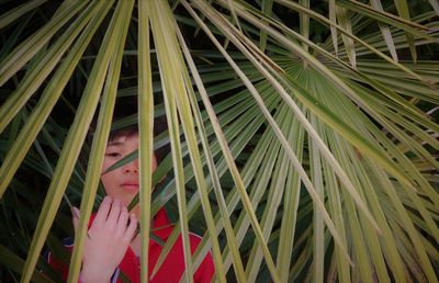 Portrait of boy amidst palm leaves