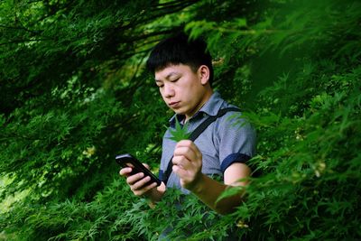 Man using mobile phone amidst plants