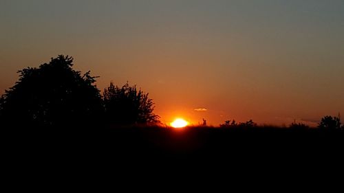 Silhouette trees against sky during sunset