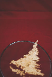 Close-up of drink on table