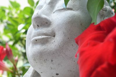 Close-up of statue against red flowering plants