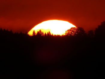 Close-up of silhouette trees against orange sky