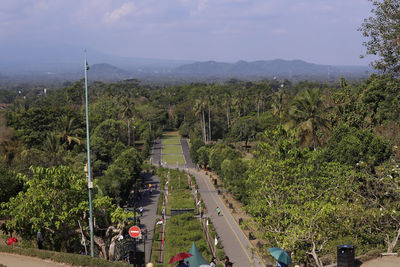 High angle view of road amidst plants against sky