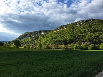 Scenic view of field against sky