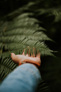 Cropped hand touching leaves