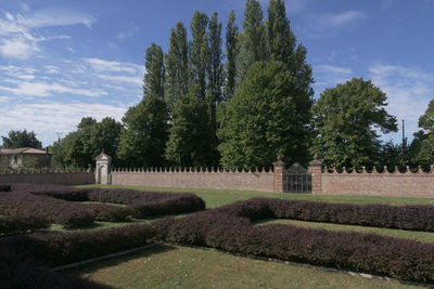 Trees in cemetery against sky