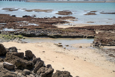 Scenic view of sea shore