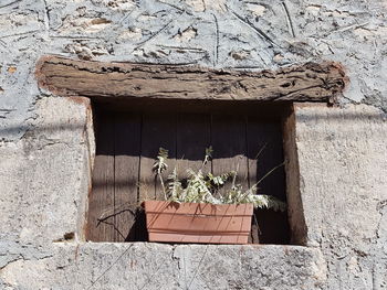 Window of old building