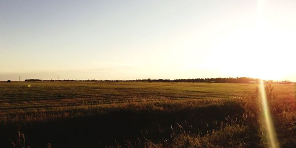 Scenic view of field against sky during sunset