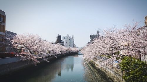 Canal amidst buildings in city against clear sky