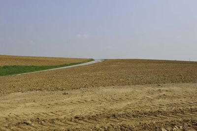 Scenic view of agricultural field against clear sky