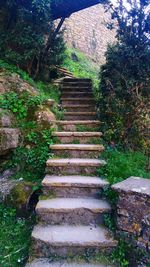 Steps leading to forest