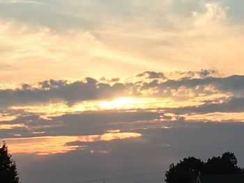 Silhouette trees against sky during sunset