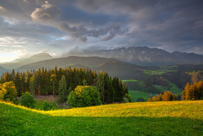 Scenic view of field against sky