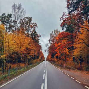 Road amidst autumn trees against sky