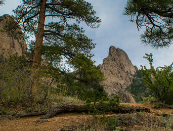 Rock formation amidst trees against sky