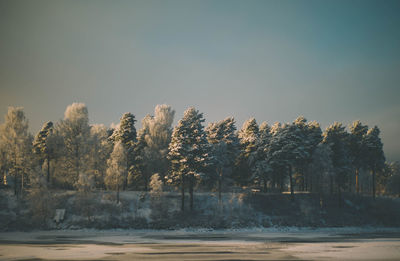 Scenic view of trees against sky