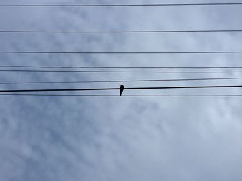 Low angle view of bird perching on cable against sky