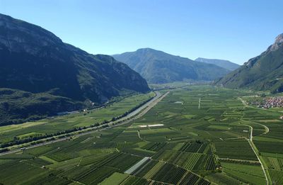 Scenic view of agricultural field against clear sky