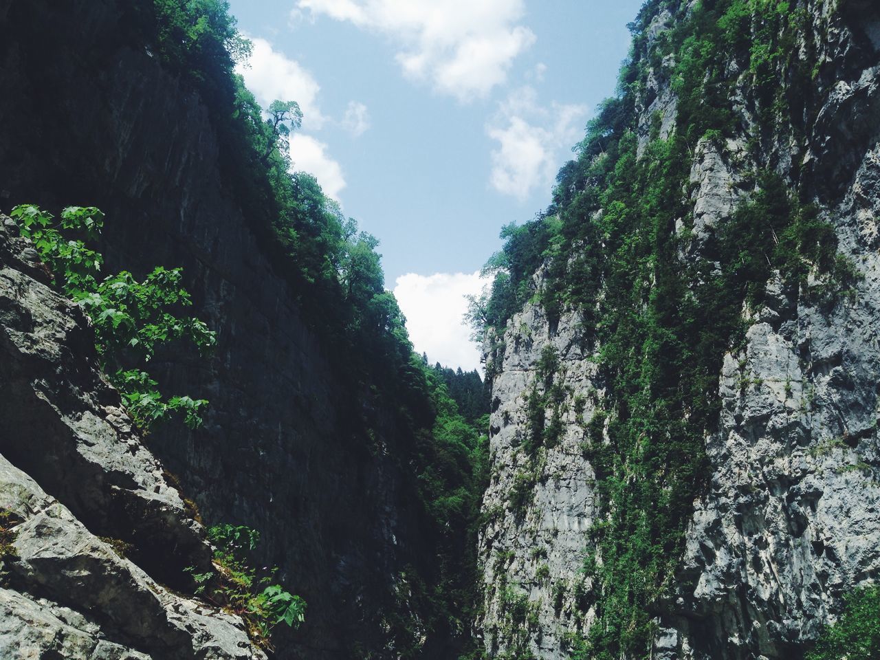 sky, tree, tranquility, tranquil scene, water, nature, growth, beauty in nature, scenics, cloud - sky, green color, cloud, day, rock - object, plant, outdoors, idyllic, no people, non-urban scene, low angle view