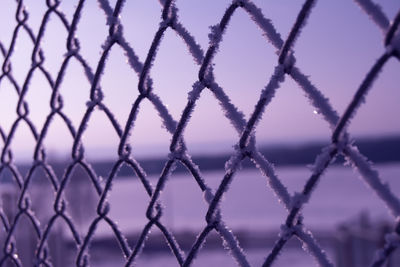 Close-up of chainlink fence