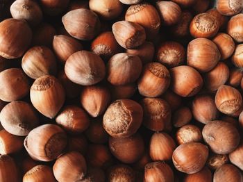 Full frame shot of horse chestnut