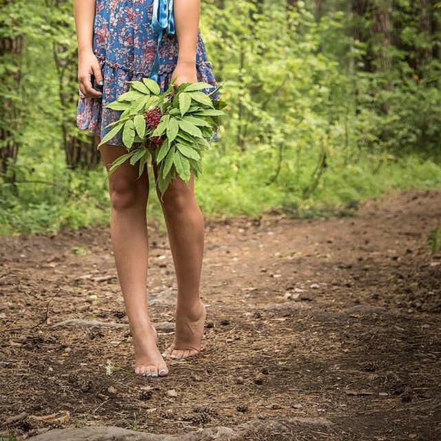 lifestyles, leisure activity, low section, standing, casual clothing, tree, person, growth, field, grass, nature, plant, holding, outdoors, day, childhood, full length