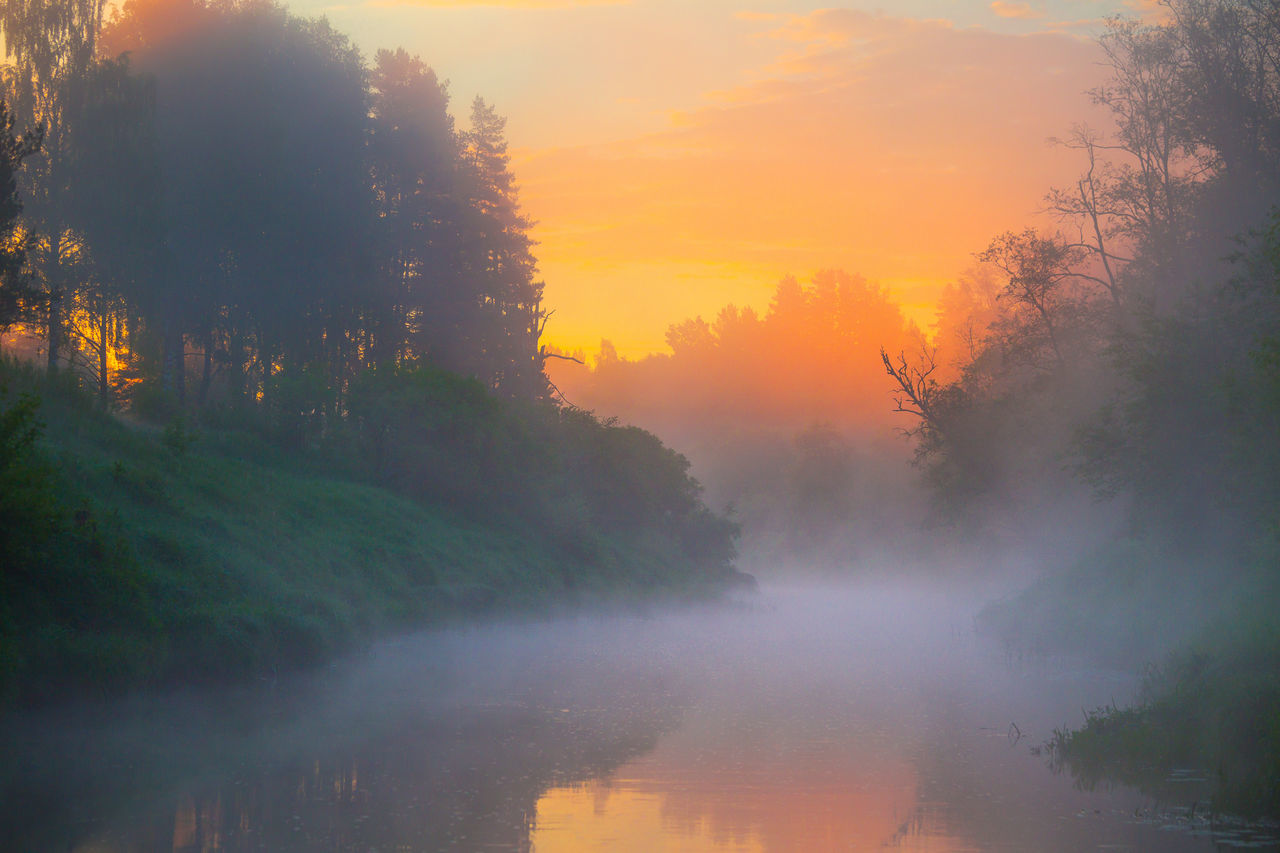 fog, mist, morning, tree, beauty in nature, sunrise, environment, dawn, scenics - nature, plant, nature, forest, water, landscape, tranquility, sun, sky, land, tranquil scene, reflection, no people, sunlight, orange color, lake, idyllic, cloud, twilight, outdoors, non-urban scene, atmospheric mood, woodland, rural scene, autumn, social issues, travel, travel destinations, sunbeam, multi colored, tourism, smog, mountain