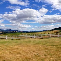 Scenic view of field against cloudy sky