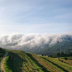 Scenic view of agricultural field against sky