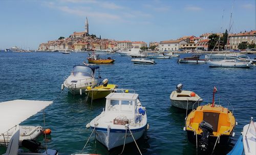 Boats moored at harbor against clear sky