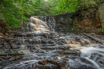 Scenic view of waterfall in forest