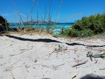 Close-up of beach against sky