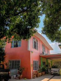 Houses and trees by building in city