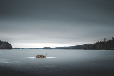 Scenic view of lake against sky during winter