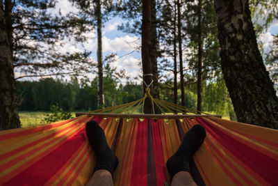 Low section of person relaxing on hammock in forest