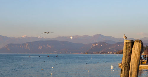 Scenic view of sea against clear sky