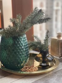 Close-up of potted plant on table