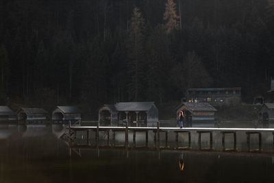 Reflection of trees in lake