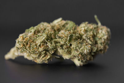 Close-up of marijuana on black background